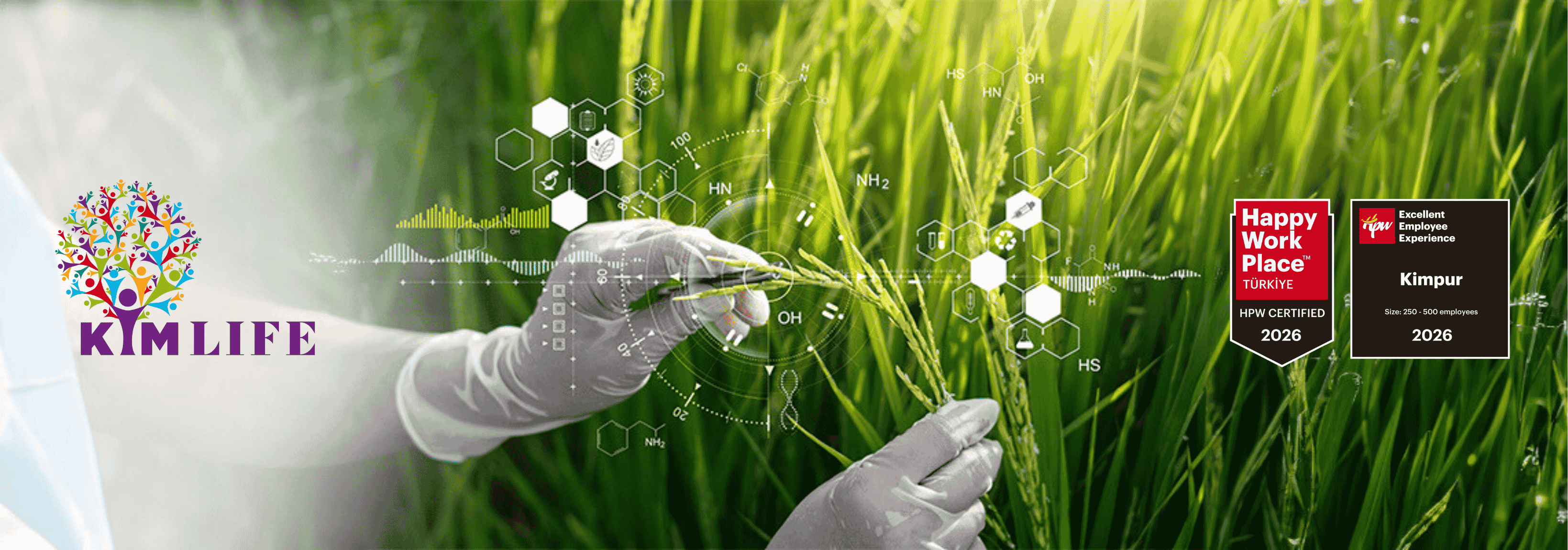 KIMlife Toplumsal Cinsiyet Eşitliği (1)